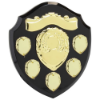 Mountbatten Annual Shield Black & Gold 5yr 205mm