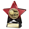 Superstar Player of Year Award Red & Black 110mm