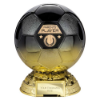 Elite Heavyweight Parents Player Award Carbon Black to Gold 205mm