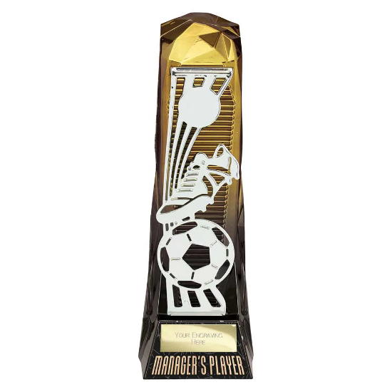 Shard Football Managers Player Award Gold to Black 230mm