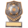 Falcon Football Coach's Player Plaque Award 105mm