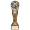 Ikon Tower Player of the Match Award Antique Silver & Gold 225mm