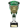 Cobra Star Cup Player of Match Silver & Green 210mm