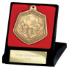 Falcon Football Medal & Box Gold 65mm