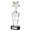 Chicago Crystal & Chrome Award 270mm (55mm Width)