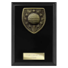 Cobra Plaque Golf Award Epic Black 150mm