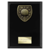 Cobra Plaque Golf Award Epic Black 175mm