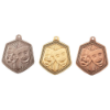 Falcon Drama Medal