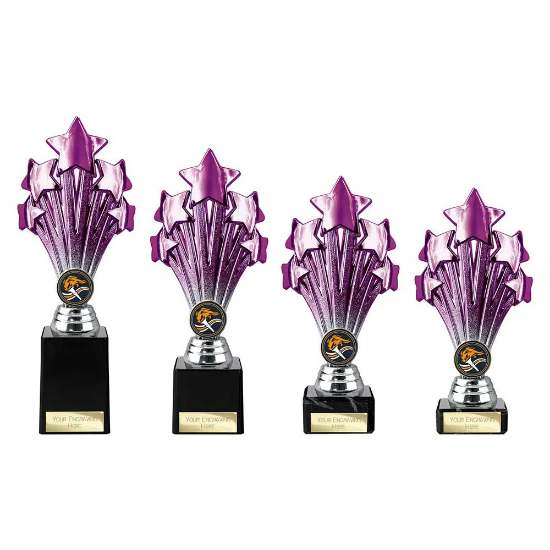 5 Star Trophy Purple and Silver