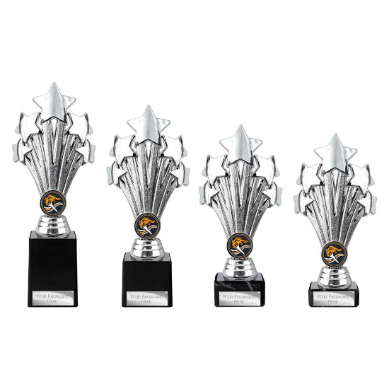 5 Star Trophy Silver