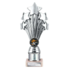 5 Star Multisport Tube Trophy Silver 215mm