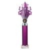 5 Star Multisport Tube Trophy Purple and Silver 365mm