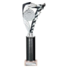 Frenzy Multisport Tube Trophy Silver & Black 315mm