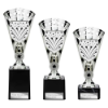 Cobra Star Multisport Cup Silver