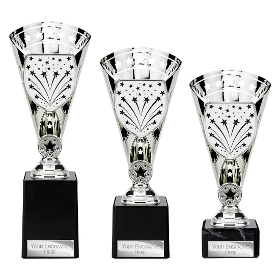 Cobra Star Multisport Cup Silver