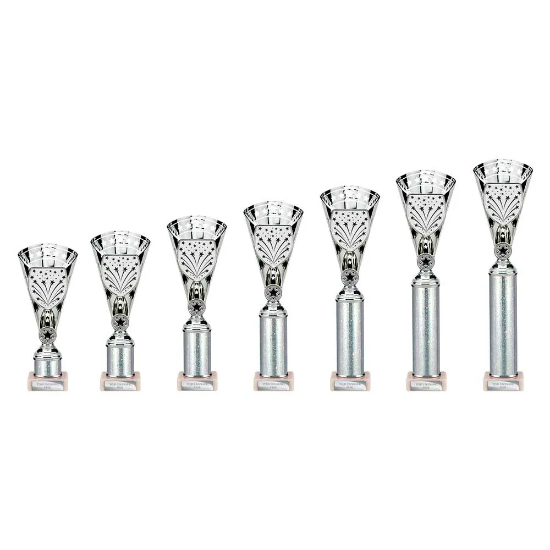 Cobra Star Multisport Tube Trophy Silver