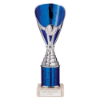 Rising Stars Plastic Trophy Blue 230mm