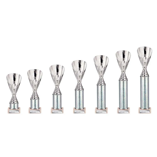 Rising Stars Plastic Trophy Silver