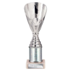 Rising Stars Plastic Trophy Silver 230mm