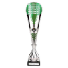 Eclectic Trophy Silver & Green 345mm