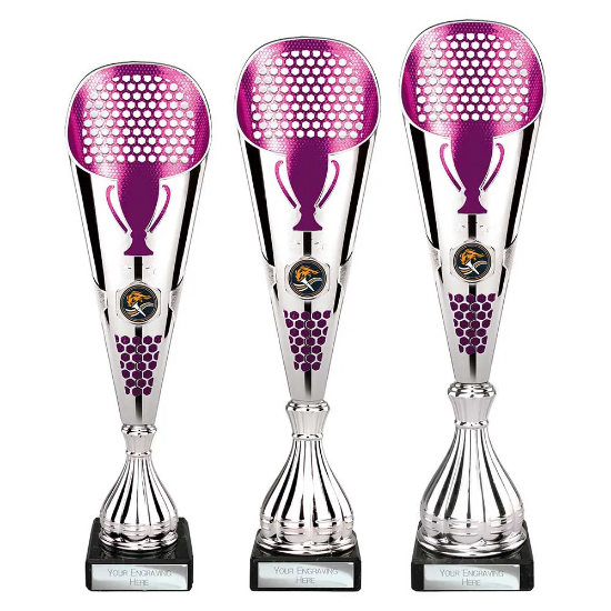 Eclectic Trophy Silver & Purple