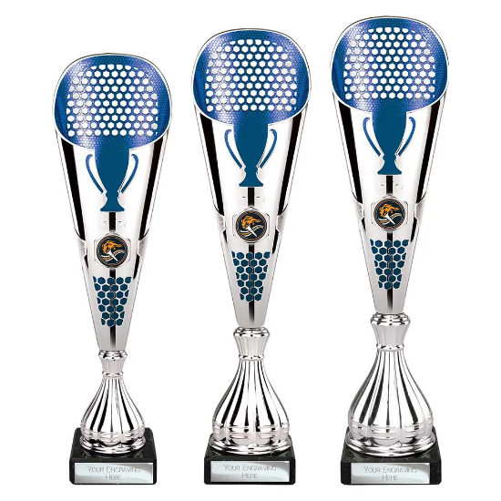 Eclectic Trophy Silver & Blue