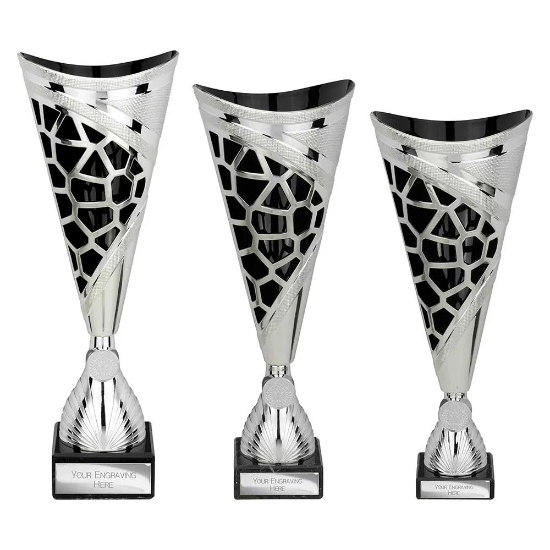 Vivid Trophy Silver & Black