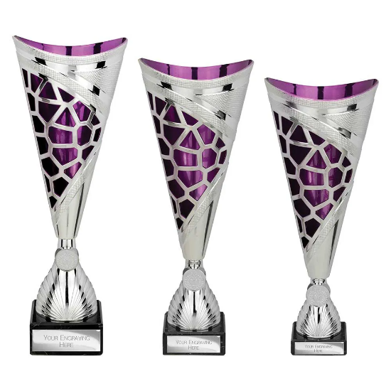 Vivid Trophy Silver & Purple