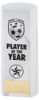 WHITE PLASTIC FILLED COLUMN FOOTBALL PLAYER OF THE YEAR (1in CEN) - 7in